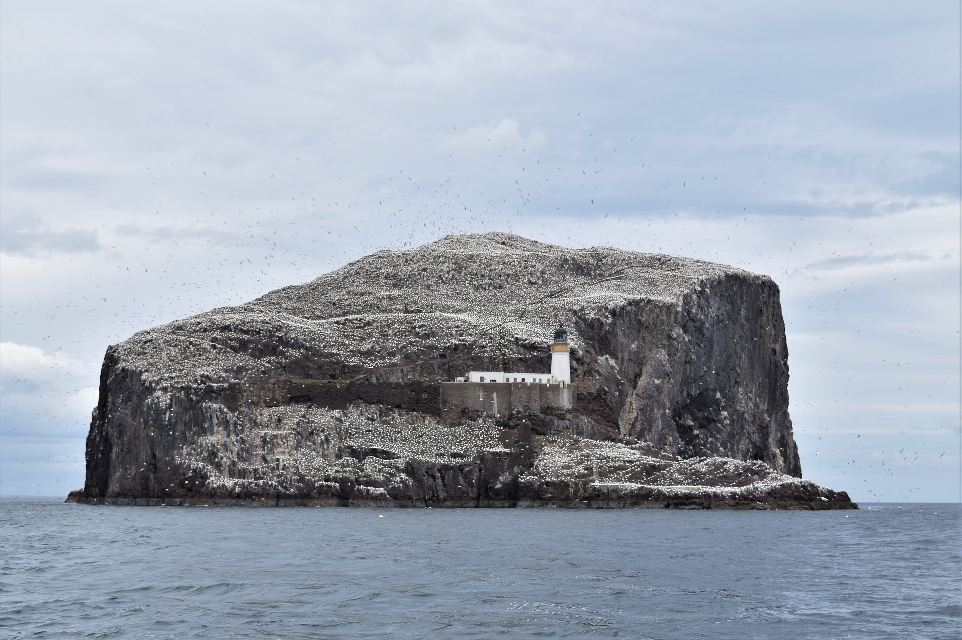 Insel bass rock || Foto: Ingi Finnsson