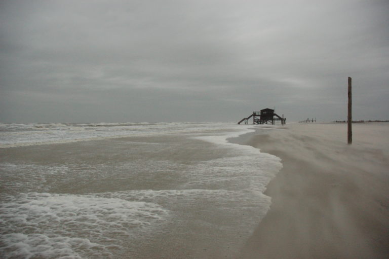 Read more about the article Haiku #134