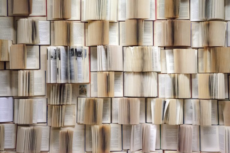 Read more about the article Bücher
