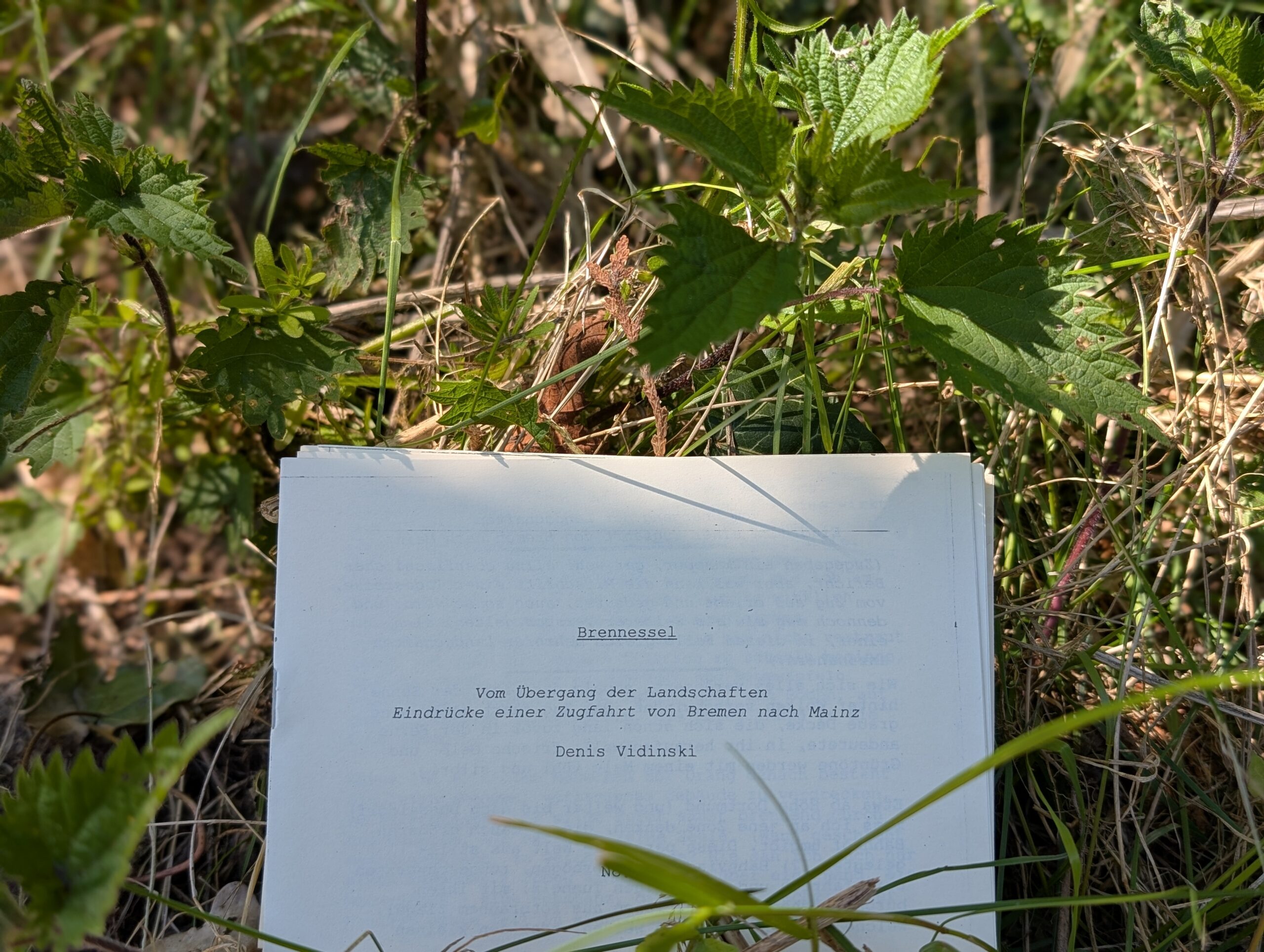 Brennessel –  Zine von Denis Vidinski