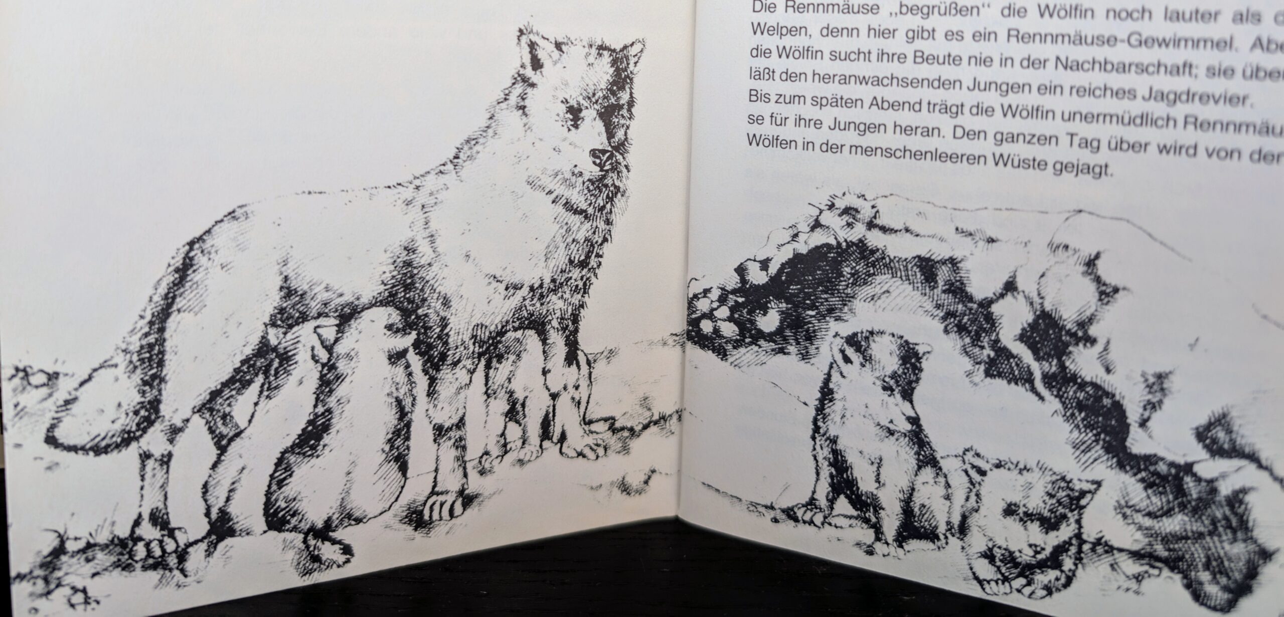 Hella Rost- Illustration in "Der Wolf aus der Wüste" von Maxim Swerew