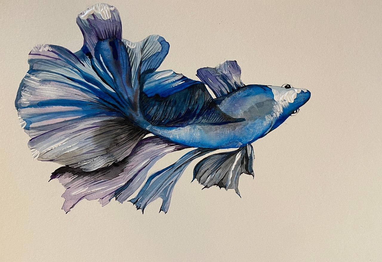 Carolin Emcke | Journal