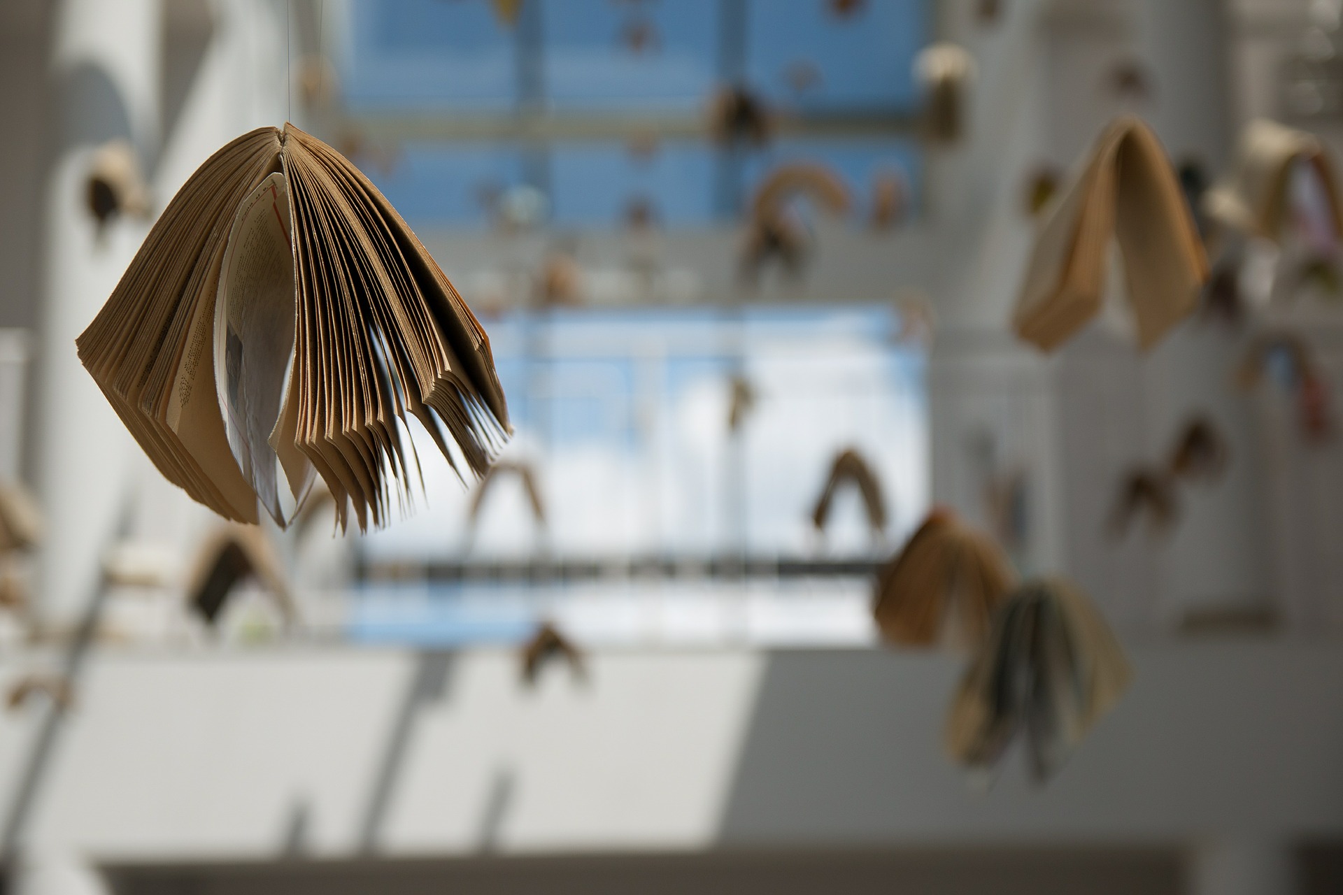 ersatzgestalt - Bilder einer Ausstellung - Startseite