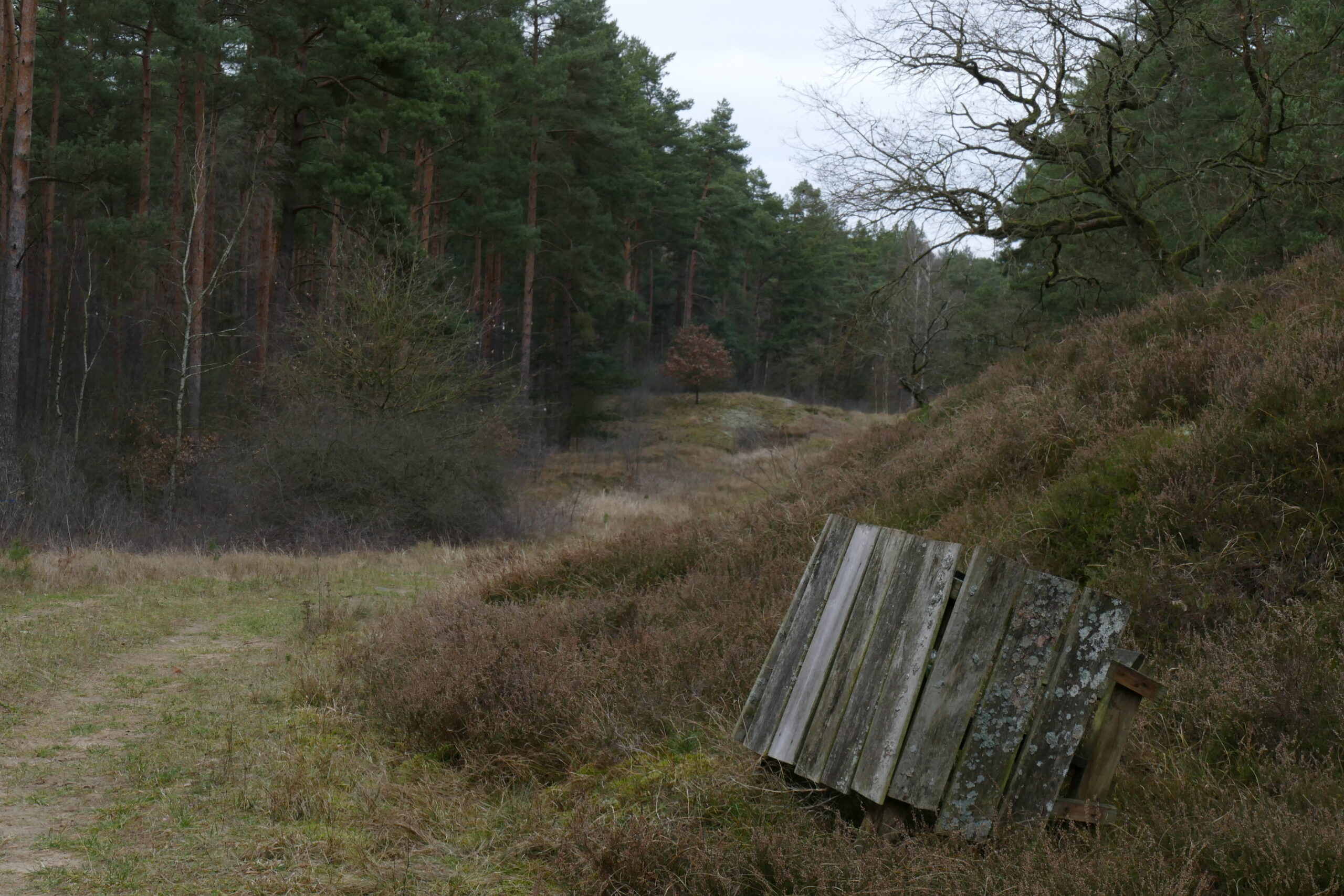 Jürgen Völkert-Marten – Wege