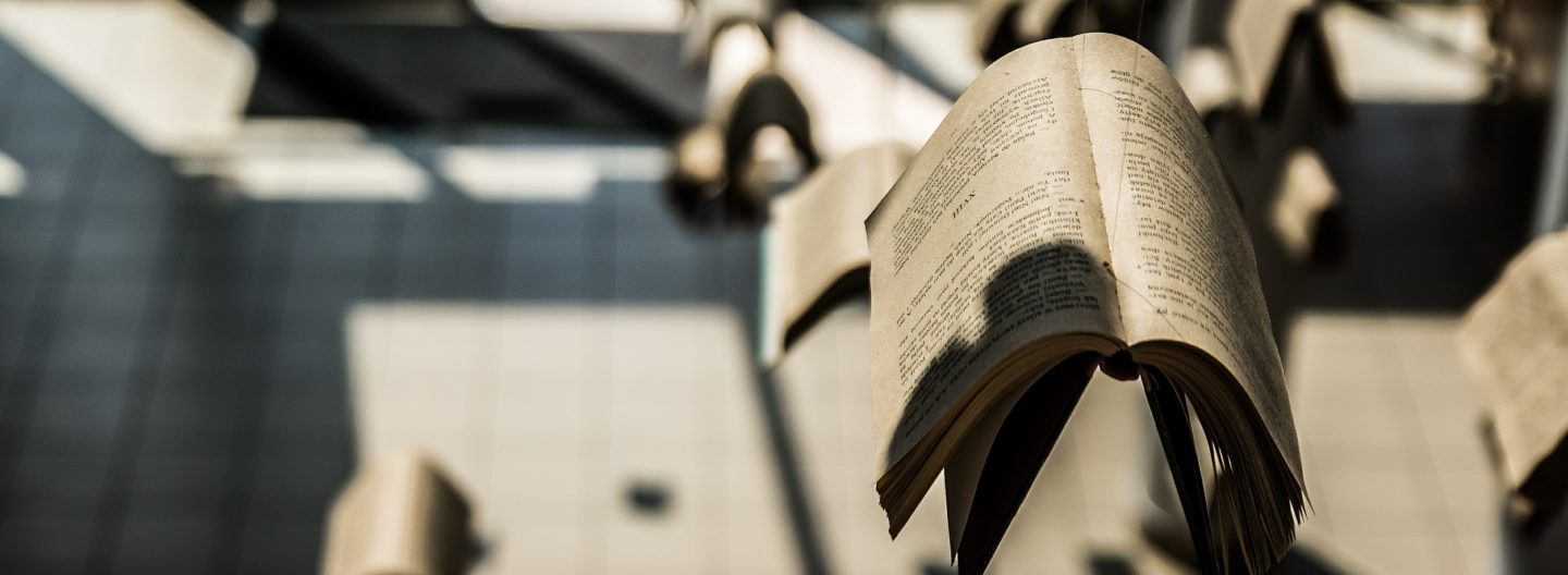 LiteraturMagazine in meinem Regal als Wegweiser