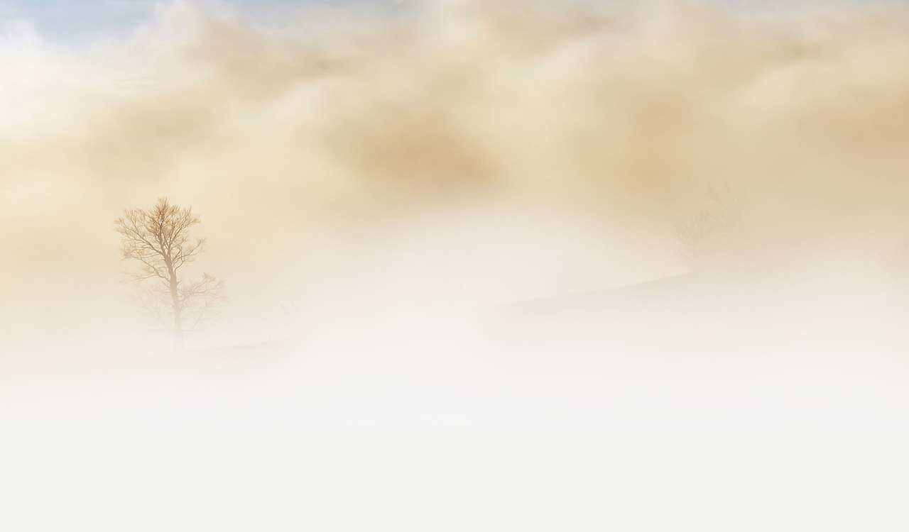Stephen Cranes „In the Desert“als Brennglas
