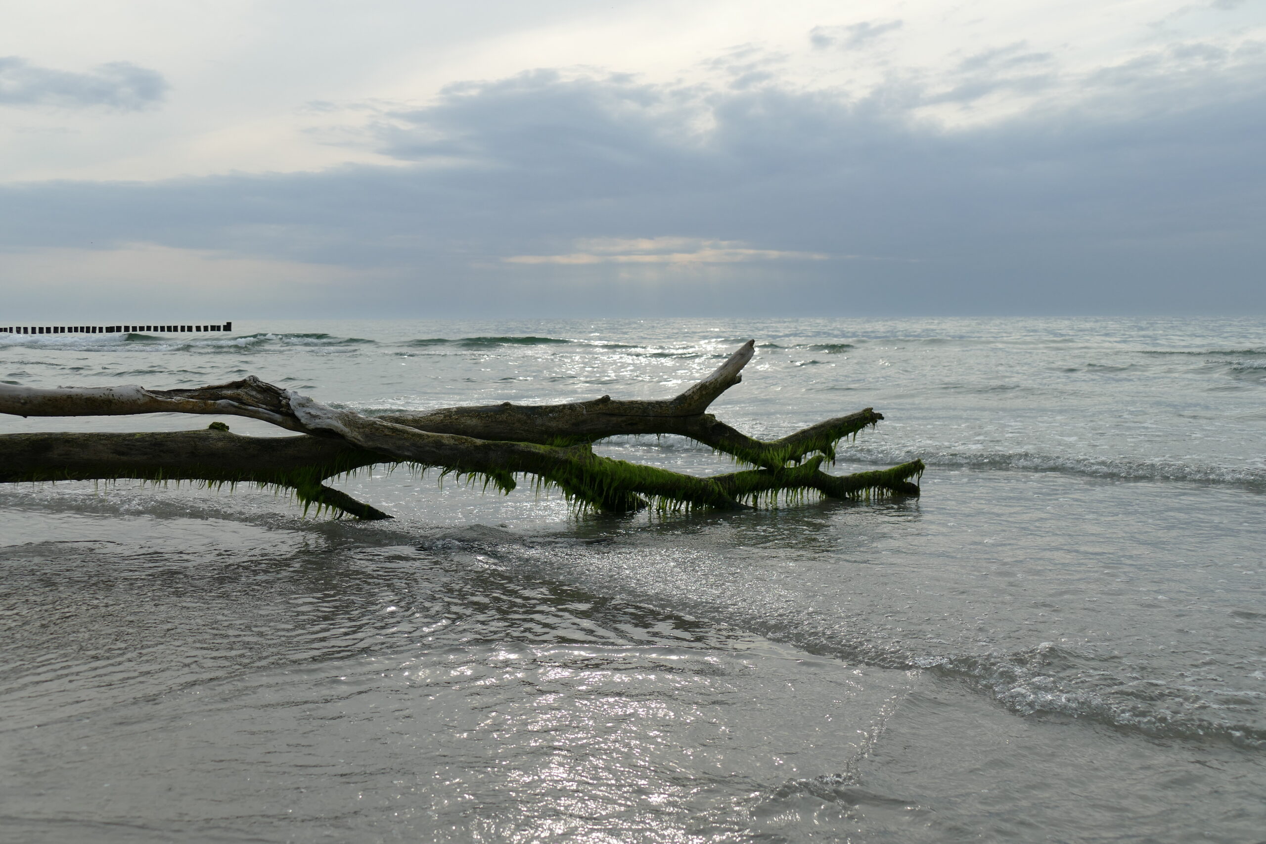 mit den andern am Meer - Ille Chamier - Tagtexte