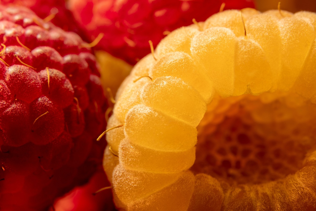 Himbeeren – Valerie Zichy