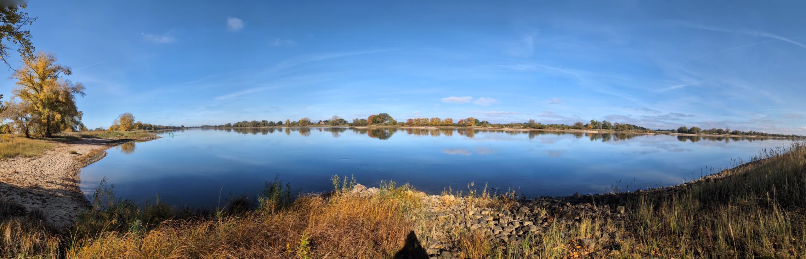 Von Walden Pond zur Elbtalaue