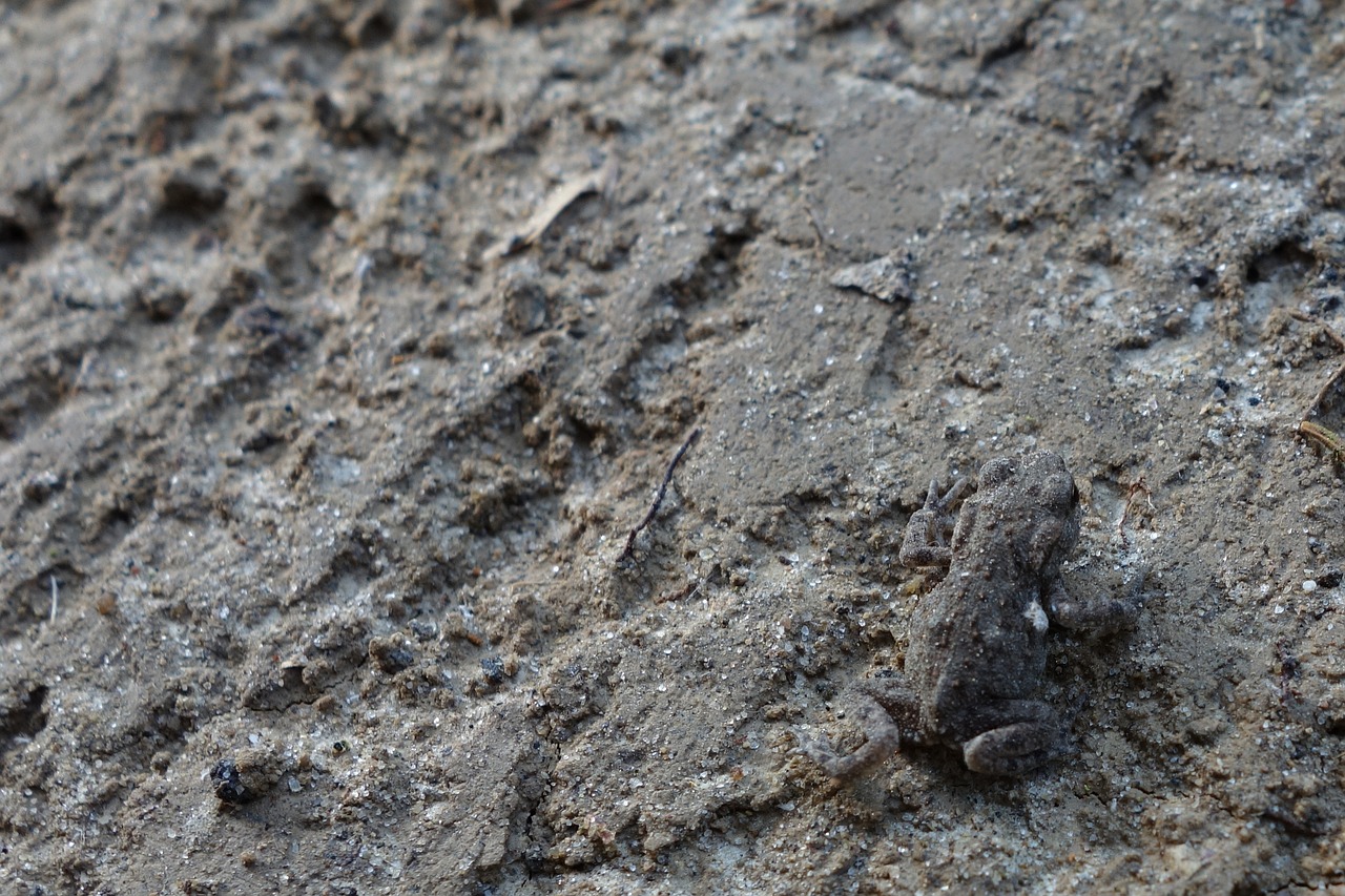 Unsichtbare Übungen – Klaus Johannes Thies