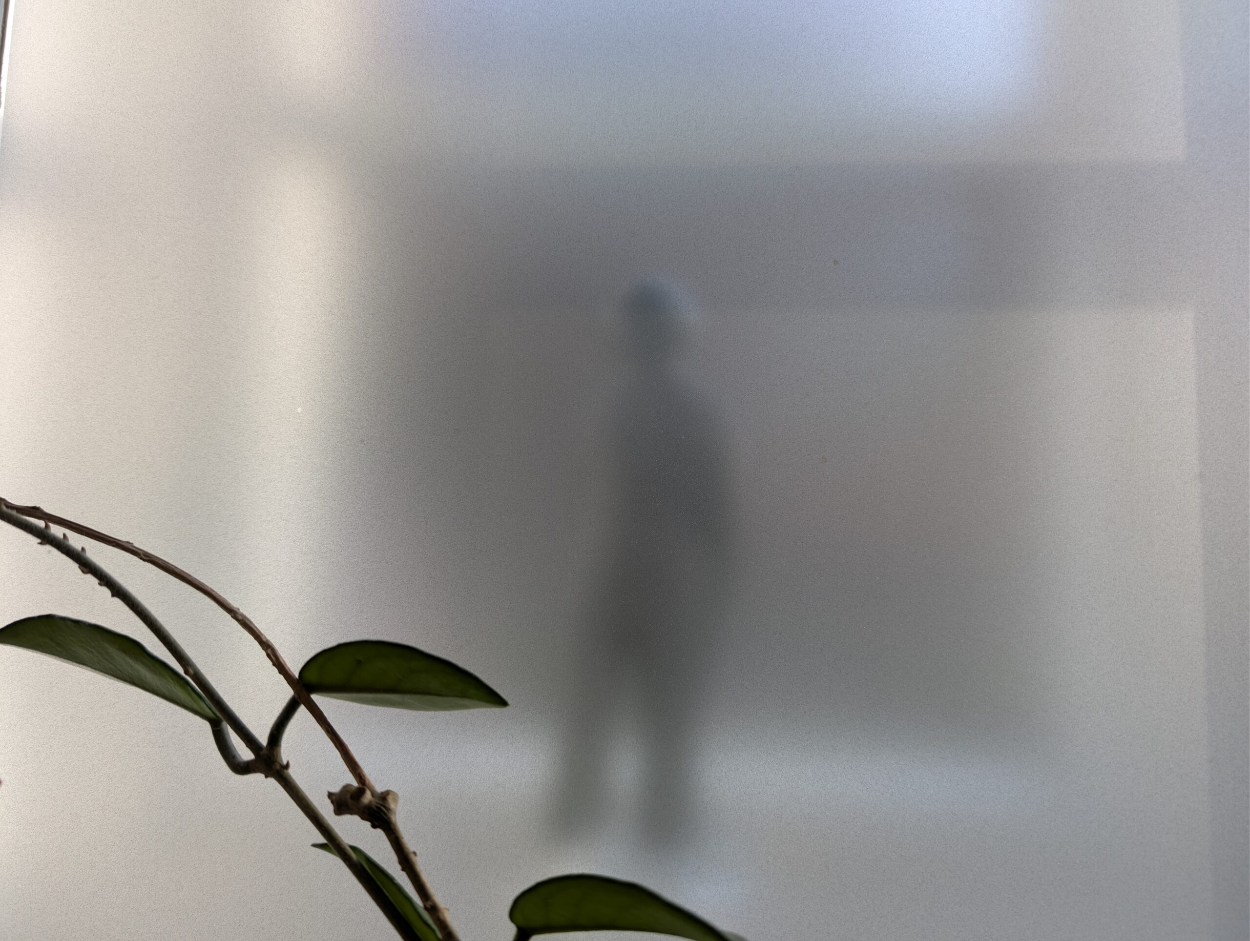 Aufgegebene Autoren und ihre Texte