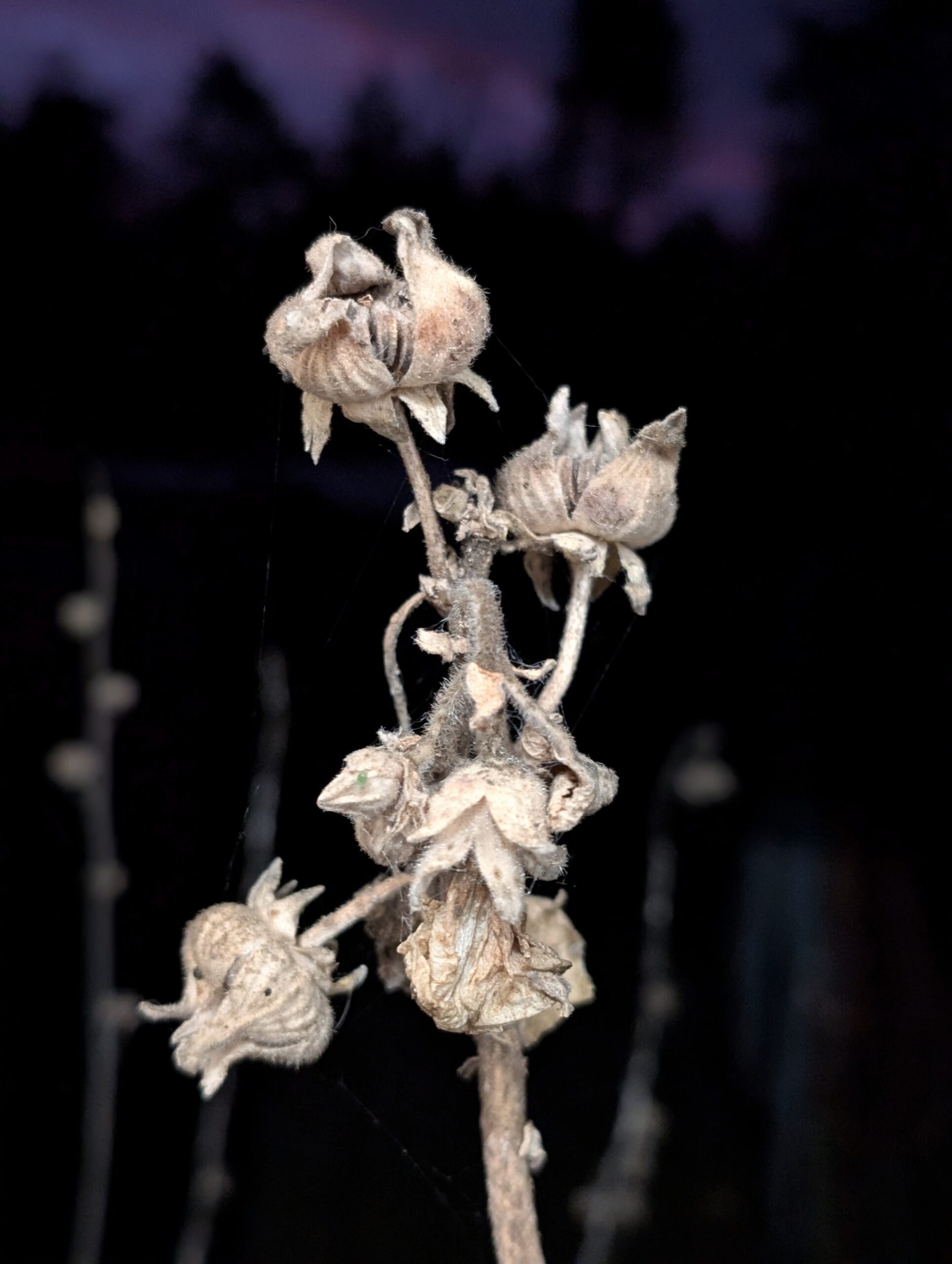 Wenn das Licht den Raum gibt