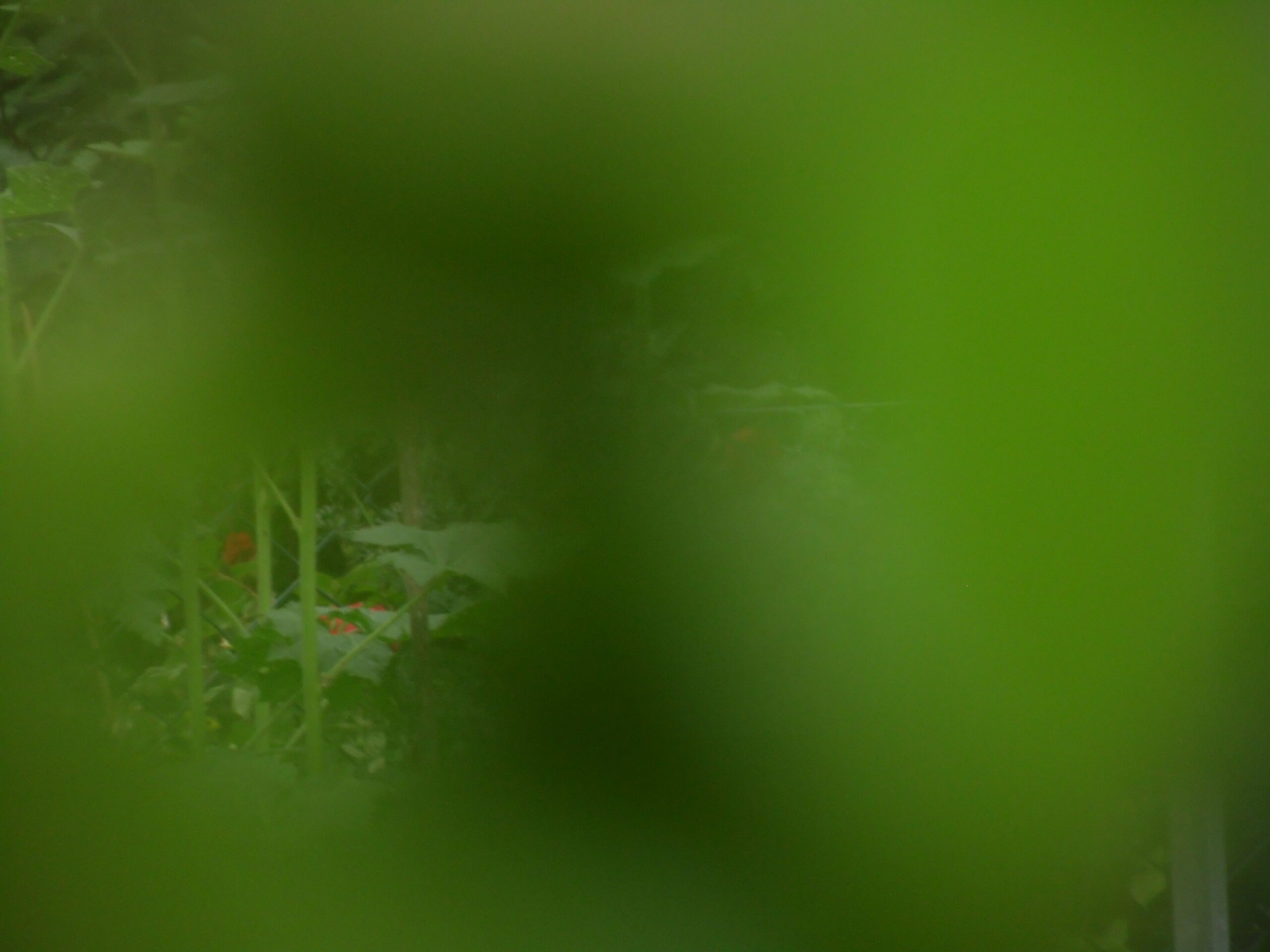 Nathalie Schmid – es ist alles