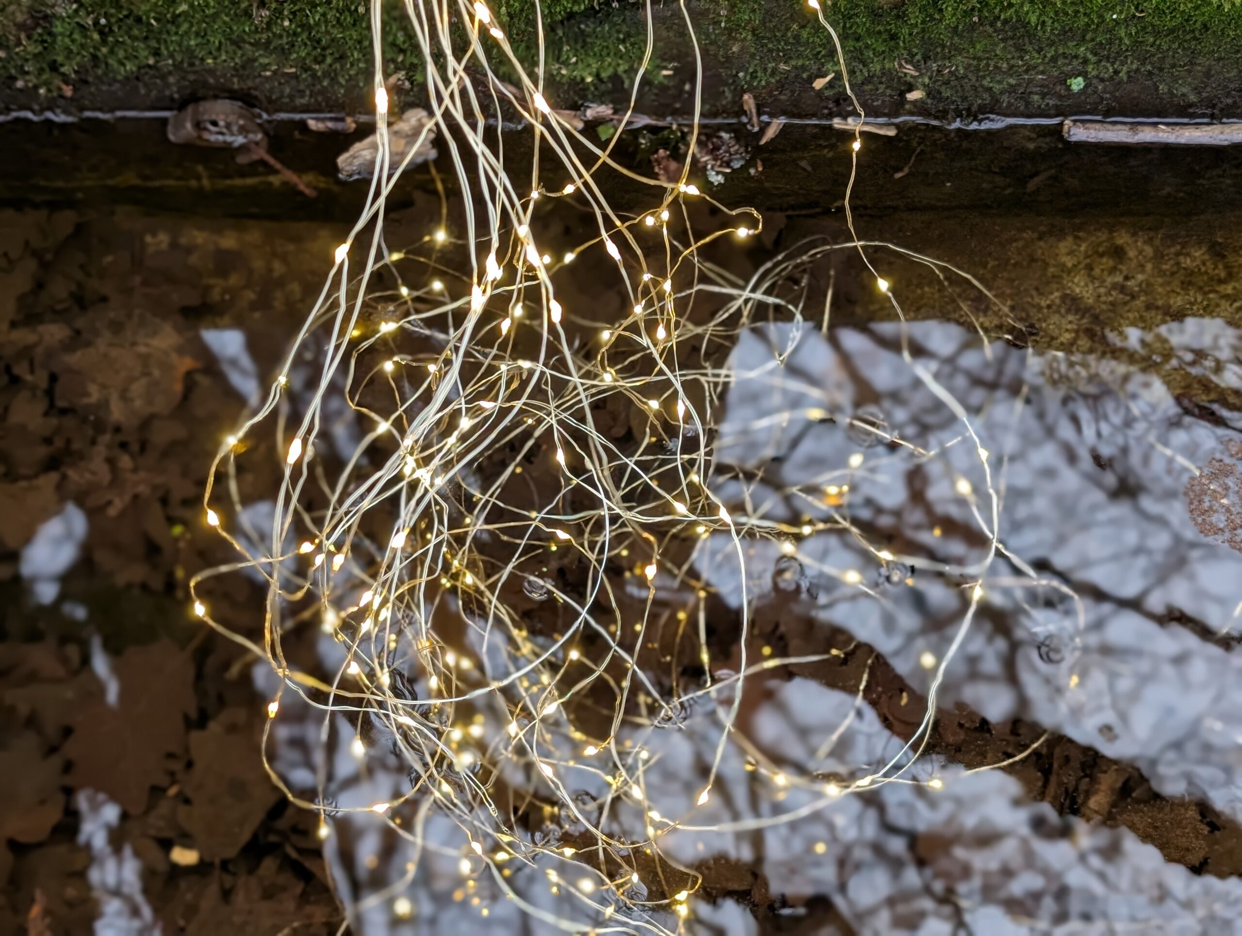 W.G. Sebald – Die Ringe des Saturn