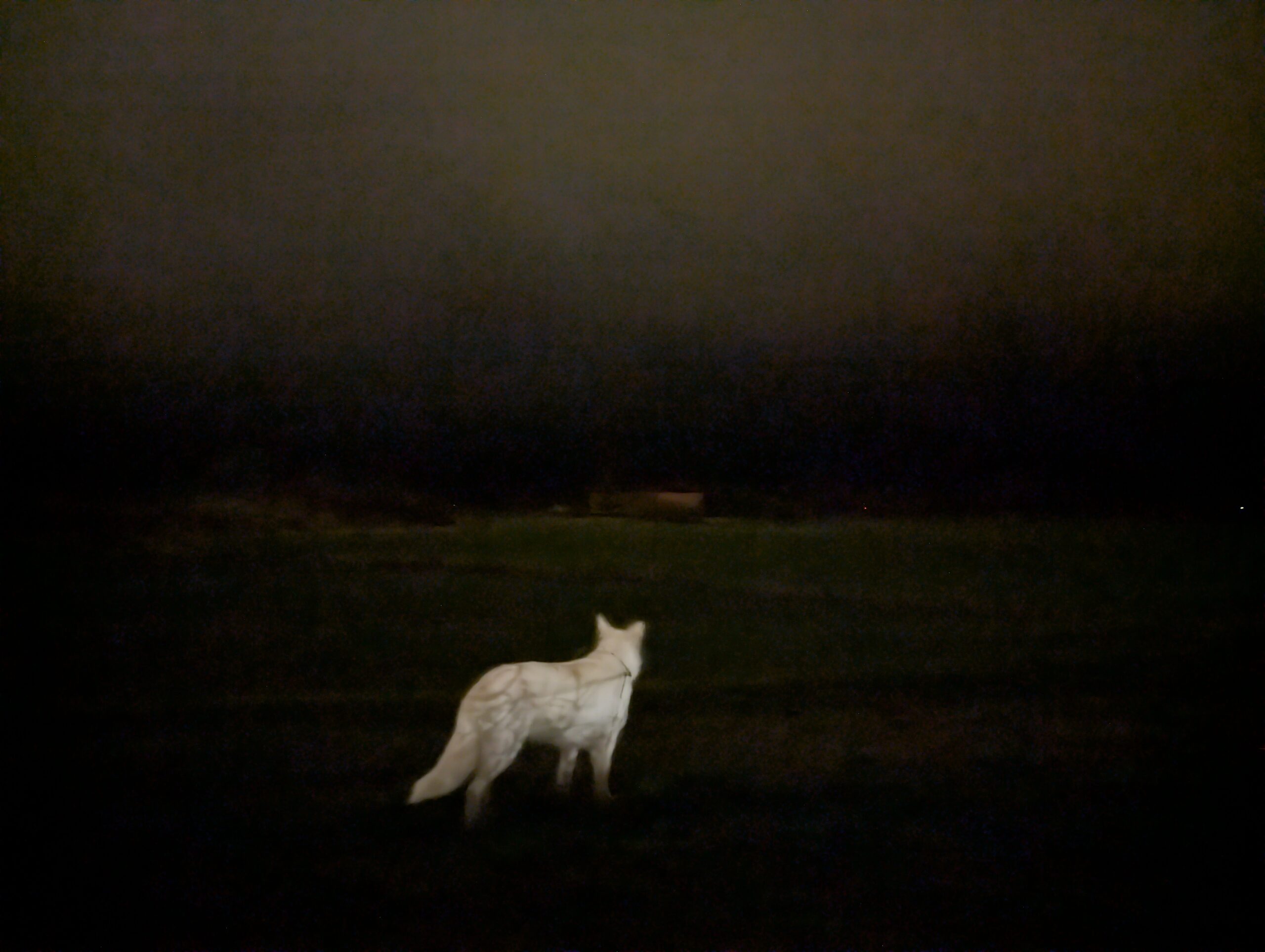 oder flieh ich (Var. 1)