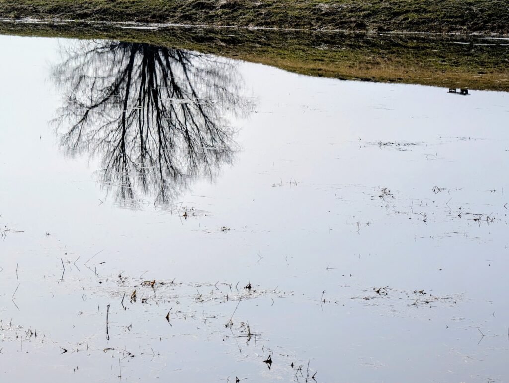 ersatzgestalt - Die Suche nach der passenden Perspektive